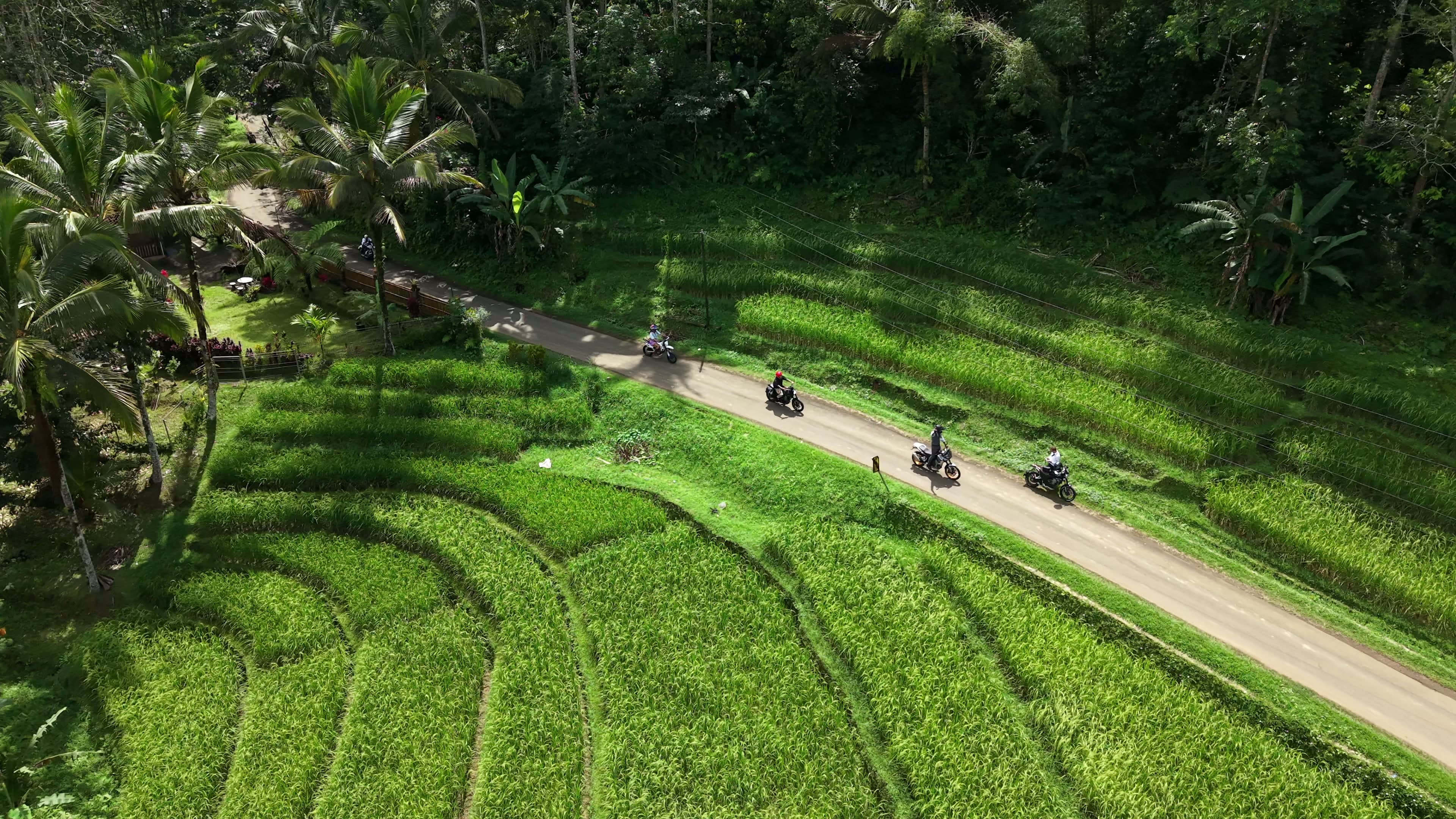 Riders on a road between rice terraces